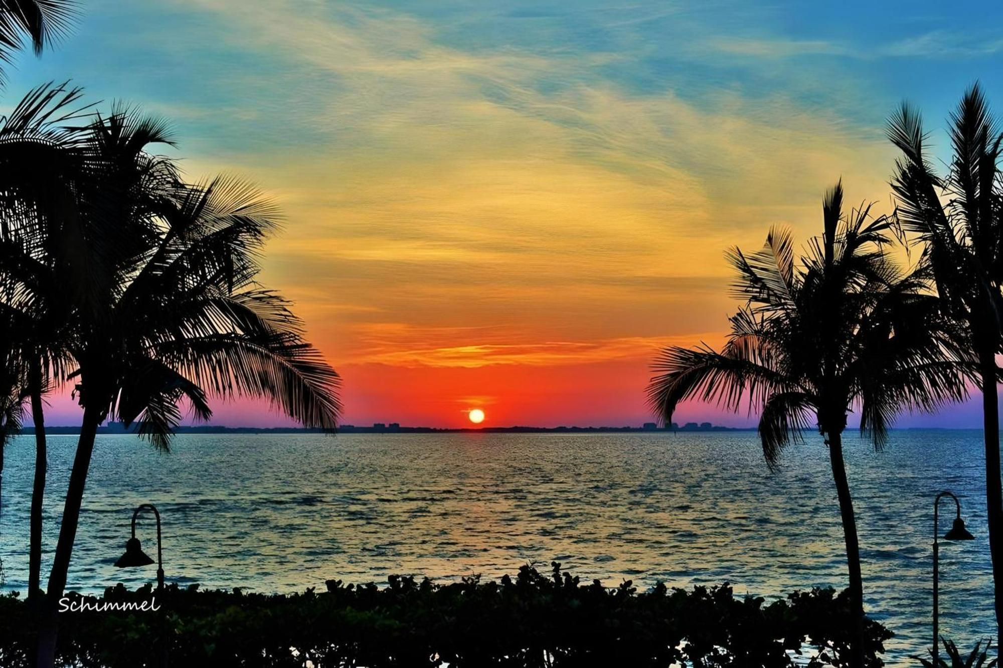 Luxury Zen Den With Heated Pool Just Off Siesta Key Apartment Sarasota Ngoại thất bức ảnh
