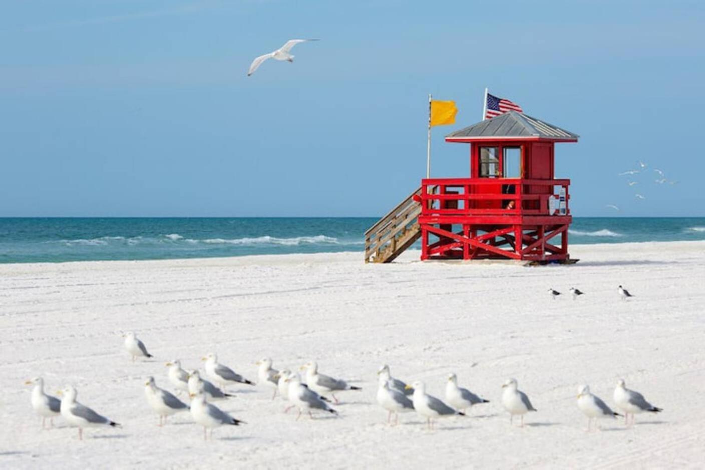 Luxury Zen Den With Heated Pool Just Off Siesta Key Apartment Sarasota Ngoại thất bức ảnh